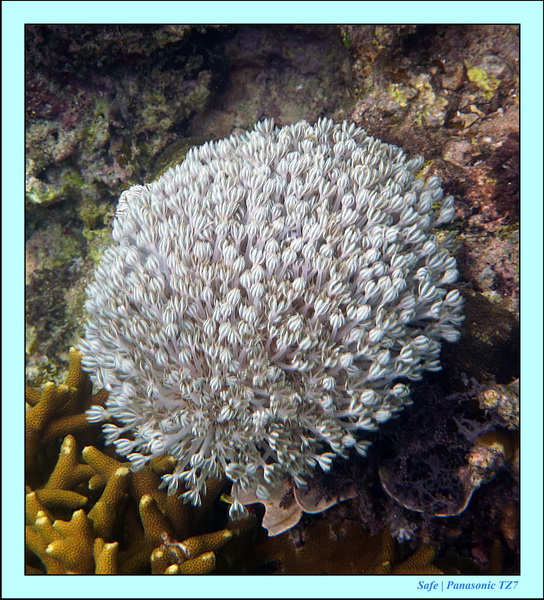 2012 - 07 - Tubod Sanctuary 11